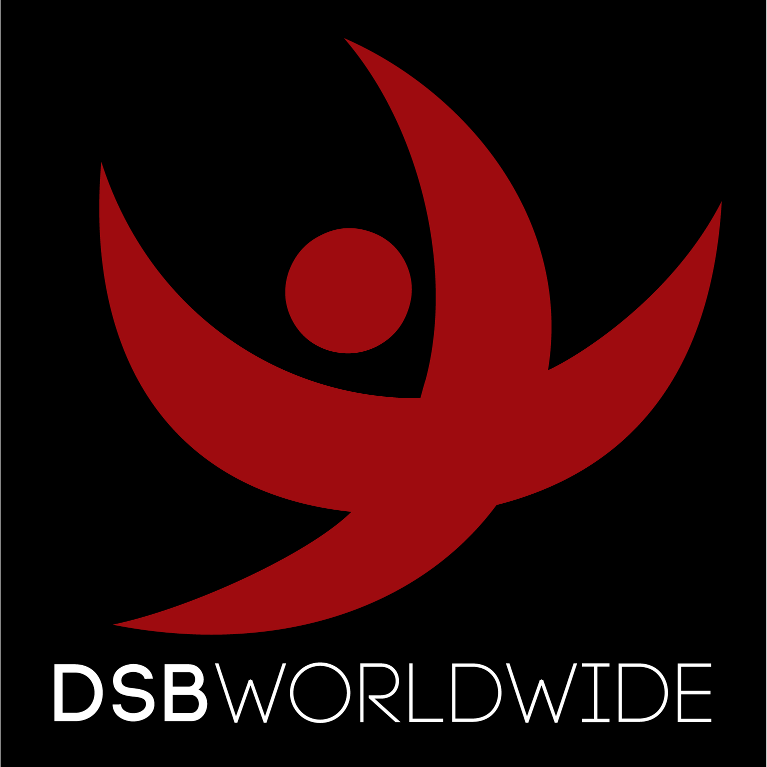 DSB - The best damn web design studio in North Texas